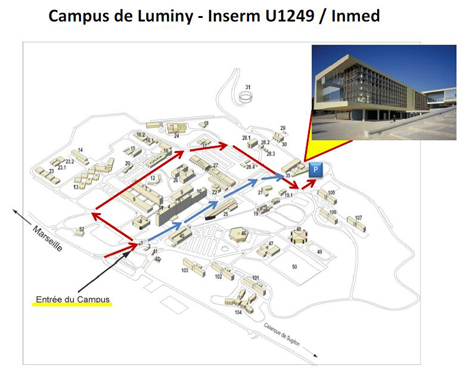 Campus_Luminy_2.JPG